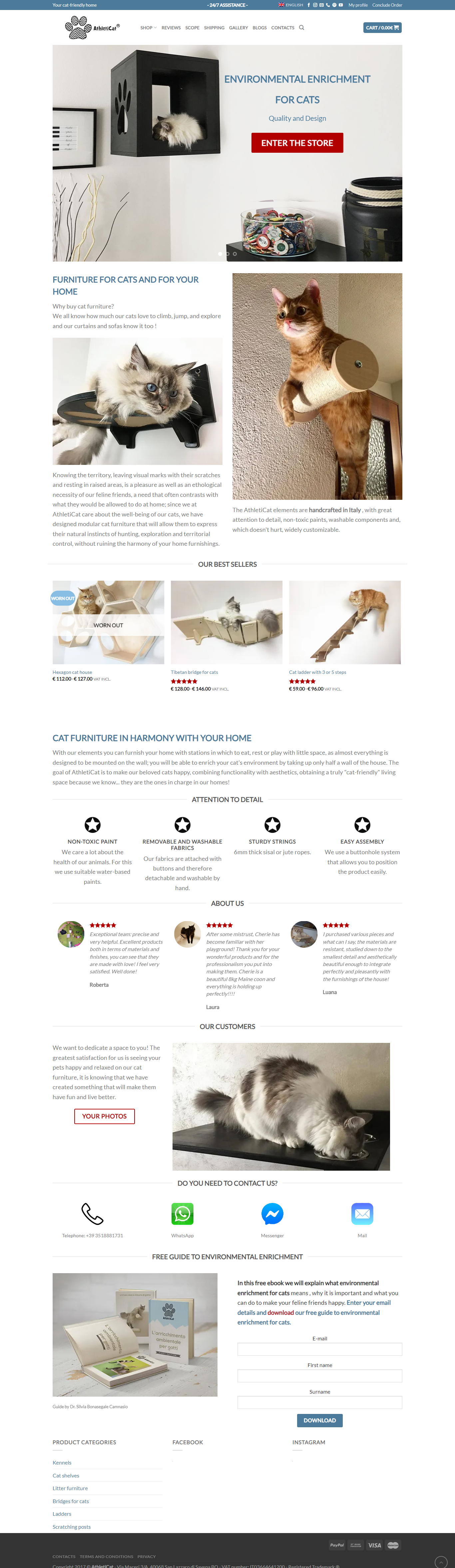 Professional website designer and wordpress expert